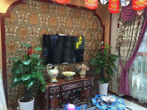 公司介绍