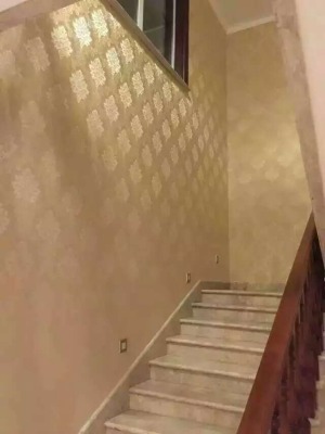 公司介绍