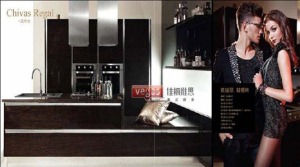 公司介绍