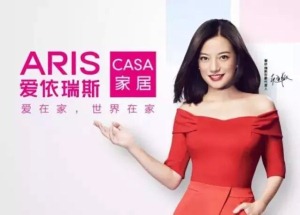 公司介绍